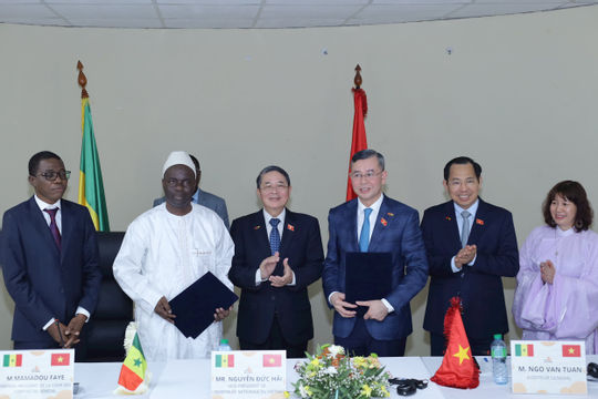 Khẳng định cam kết đa phương, thúc đẩy hợp tác song phương