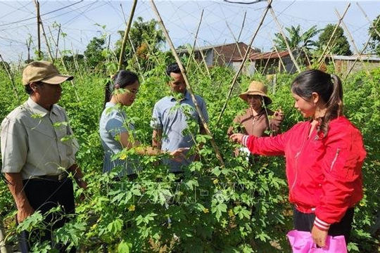 Đạt và vượt chỉ tiêu xóa đói, giảm nghèo bền vững giai đoạn 2021-2025 Đạt và vượt chỉ tiêu xóa đói, giảm nghèo bền vững giai đoạn 2021-2025