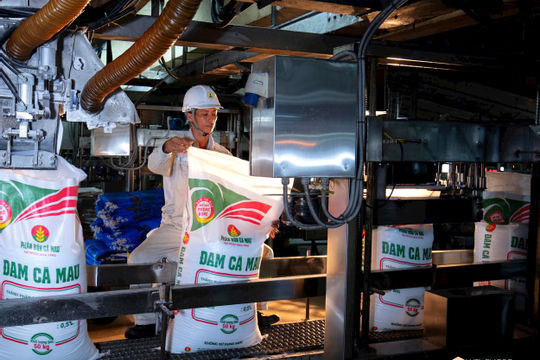 PVCFC: Kết quả bứt phá – sức khỏe tài chính mạnh mẽ 