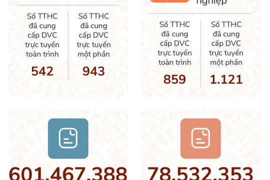 Rà soát, cắt giảm, đơn giản hóa 100% thủ tục hành chính nội bộ