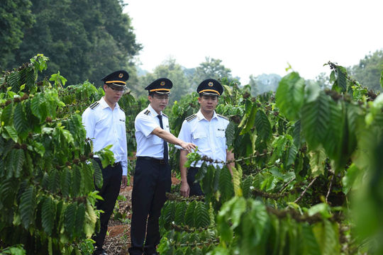 Đổi mới công tác phối hợp, nâng cao chất lượng kiểm toán chuyên đề