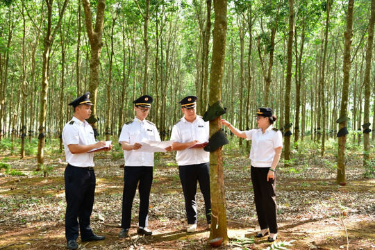 Không ngừng nâng cao chất lượng, hiệu lực, hiệu quả hoạt động kiểm toán