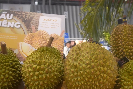 Lần đầu tiên ban hành quy trình kiểm soát an toàn với sầu riêng xuất khẩu