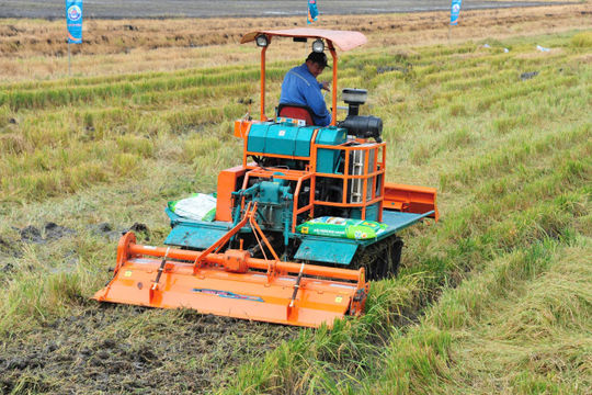 Đầu Trâu Bio-Canxi, từ lời kể của nông dân trong mô hình
đến hiệu quả trong sản xuất lúa tại ĐBSCL
