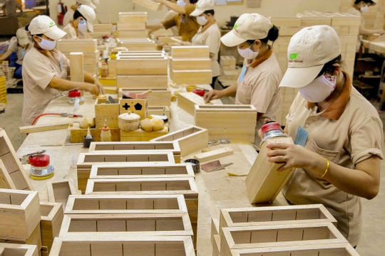 Vượt “bão” thuế quan, xuất khẩu gỗ bứt phá ngoạn mục Vượt “bão” thuế quan, xuất khẩu gỗ bứt phá ngoạn mục
