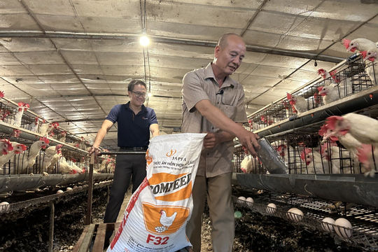 Cần thống nhất áp dụng mức thuế VAT với thức ăn chăn nuôi