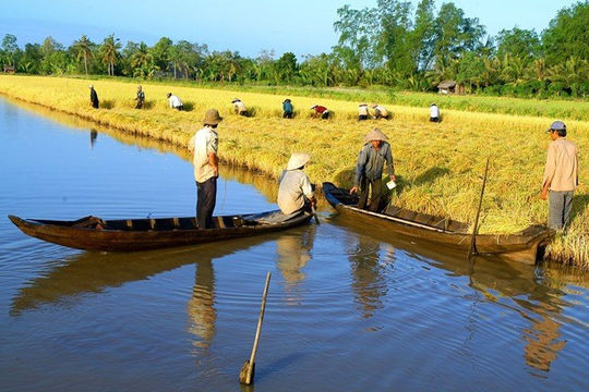 Dự án thích ứng biến đổi khí hậu: Tiêu chí nào để được hỗ trợ? Dự án thích ứng biến đổi khí hậu: Tiêu chí nào để được hỗ trợ?