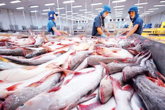 Thấy gì từ thị trường xuất khẩu nông sản? Thấy gì từ thị trường xuất khẩu nông sản?