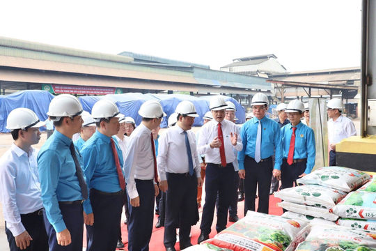 63 năm Bác Hồ về thăm Supe Lâm Thao: Từ dấu mốc lịch sử đến khát vọng vươn xa  