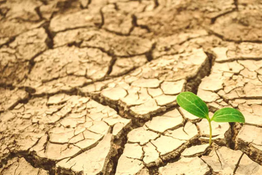 Kiểm toán nhà nước trước thách thức khí hậu: Định hình chính sách từ thực tiễn