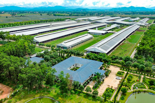 Sự hiện diện của Vinamilk giúp Việt Nam vào top 5 thế giới về giá trị thương hiệu ngành sữa  Sự hiện diện của Vinamilk giúp Việt Nam vào top 5 thế giới về giá trị thương hiệu ngành sữa