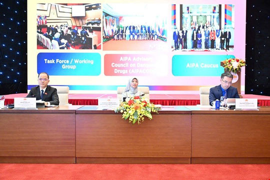 Thúc đẩy sự tham gia của thanh niên với các mối quan tâm chung của ASEAN