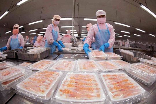 Thủy sản Việt tìm hướng vào “mỏ vàng” châu Âu