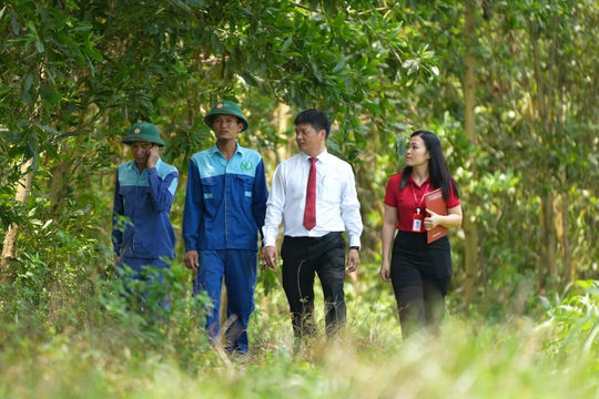 Agribank - Cầu nối chiến lược đưa tín chỉ carbon Việt Nam vươn ra thị trường quốc tế