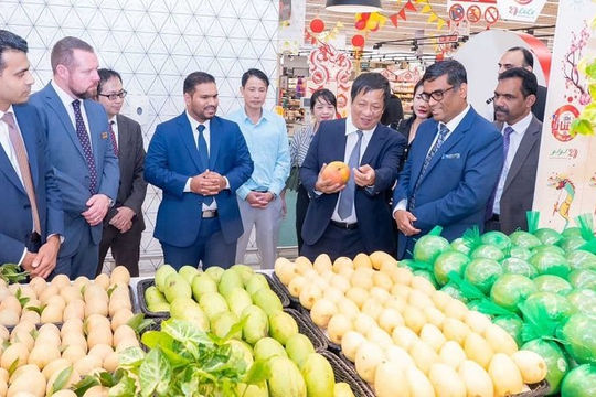 Triển vọng rộng mở trong hợp tác giữa Việt Nam và Trung Đông - châu Phi