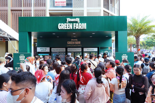 Mang thương hiệu Việt vươn ra toàn cầu, nhưng đóng góp trực tiếp của Vinamilk cho đất nước nằm ở đây