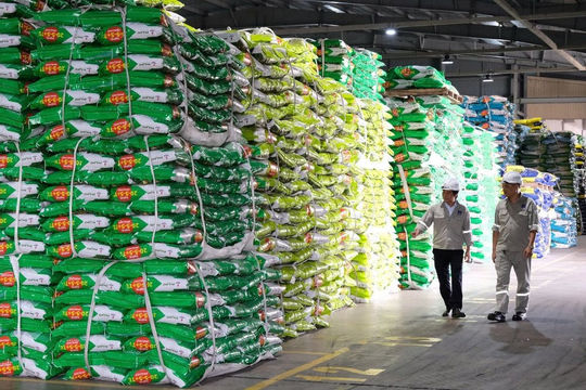 Lợi nhuận của PVFCCo - Phú Mỹ đạt gần gấp đôi kế hoạch cả năm 2025 Lợi nhuận của PVFCCo - Phú Mỹ đạt gần gấp đôi kế hoạch cả năm 2025