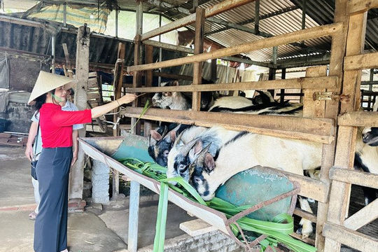 Nghệ An: Giám sát việc thực hiện Chương trình mục tiêu quốc gia giảm nghèo bền vững