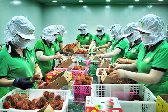 Bộ Công Thương kiến nghị cắt giảm thêm 204 điều kiện kinh doanh Bộ Công Thương kiến nghị cắt giảm thêm 204 điều kiện kinh doanh