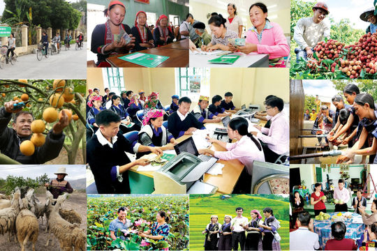 Nâng cao hiệu quả tín dụng chính sách: Quyết tâm từ Trung ương đến cơ sở