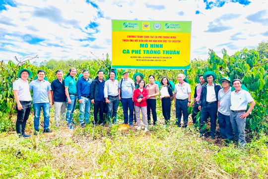 Tại sao cần canh tác cà phê thông minh