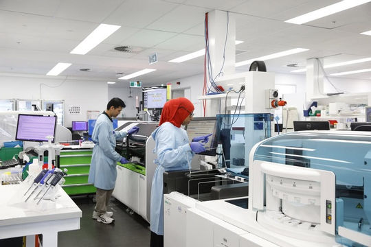 Bang Tây Australia: Lỗ hổng bảo mật đe dọa nghiêm trọng dữ liệu y tế