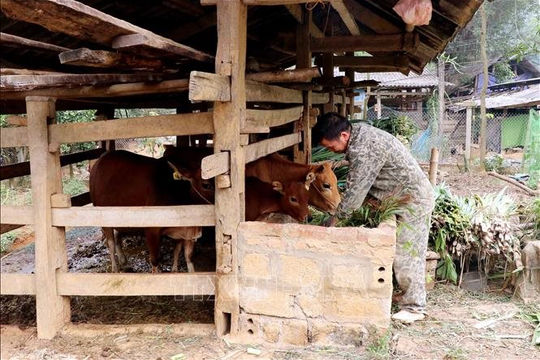 Tuyên Quang xây dựng dữ liệu hộ nghèo phục vụ chính sách an sinh và phát triển bền vững