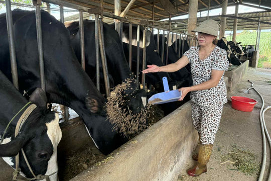 Vốn ưu đãi giúp đồng bào dân tộc thiểu số thoát nghèo