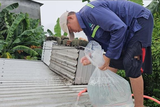 Quyết liệt ứng phó các nguy cơ sau bão số 10