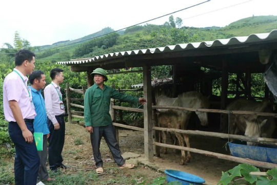 Nỗ lực tạo chuyển biến mạnh mẽ trong giảm nghèo bền vững tại Bắc Ninh