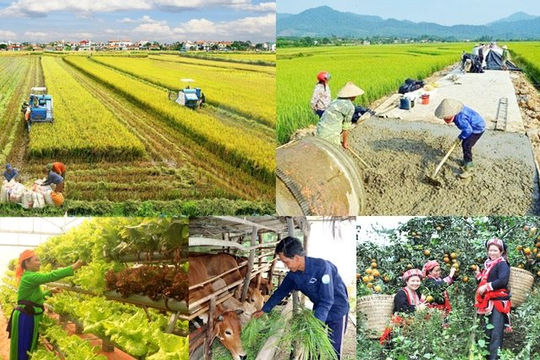 Đánh giá toàn diện, tháo gỡ vướng mắc trong thực hiện các chương trình mục tiêu quốc gia Đánh giá toàn diện, tháo gỡ vướng mắc trong thực hiện các chương trình mục tiêu quốc gia