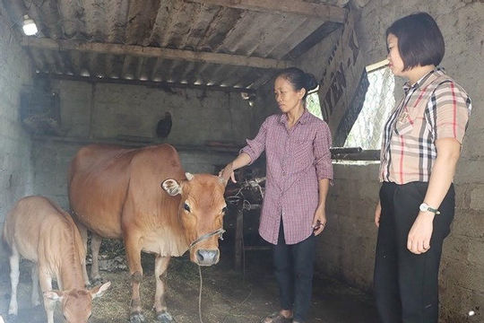 Hà Tĩnh: Hiệu quả từ các mô hình, dự án giảm nghèo