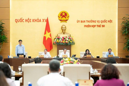 Tăng tính kịp thời, chính xác của số liệu thống kê