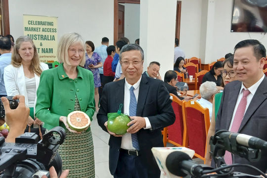 Lần đầu tiên trái bưởi của Việt Nam xuất khẩu sang Australia
