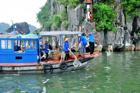 Kiểm toán chỉ ra nghịch lý tại Quảng Ninh: Thu nhiều, chi ít, rác thải tồn đọng lớn Kiểm toán chỉ ra nghịch lý tại Quảng Ninh: Thu nhiều, chi ít, rác thải tồn đọng lớn