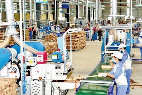 Kinh tế tư nhân Tuyên Quang đóng góp gần 2.000 tỷ đồng cho ngân sách 