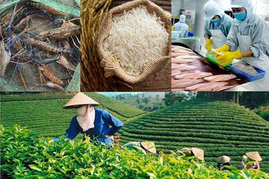 Gỡ vướng chính sách thuế để ngành nông nghiệp phát triển bền vững