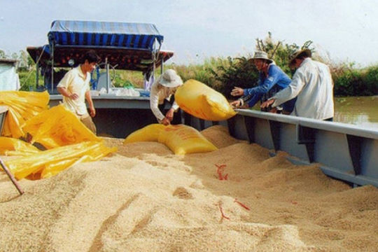Thái Lan sắp cán đích xuất khẩu 7,5 triệu tấn gạo năm 2025 Thái Lan sắp cán đích xuất khẩu 7,5 triệu tấn gạo năm 2025
