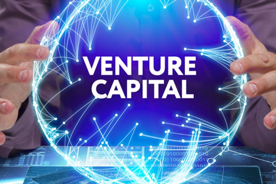 Quỹ đầu tư mạo hiểm quốc gia và địa phương hoạt động theo nguyên tắc nào? Quỹ đầu tư mạo hiểm quốc gia và địa phương hoạt động theo nguyên tắc nào?