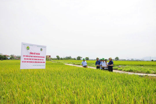 Tinh gọn, nâng cao năng lực của hệ thống khuyến nông trong tình hình mới Tinh gọn, nâng cao năng lực của hệ thống khuyến nông trong tình hình mới