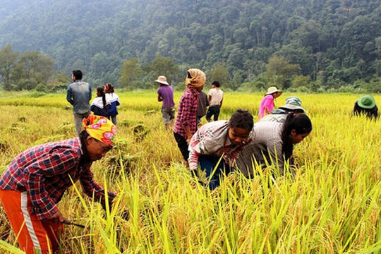 Giải quyết thách thức trong công tác giảm nghèo bền vững Giải quyết thách thức trong công tác giảm nghèo bền vững