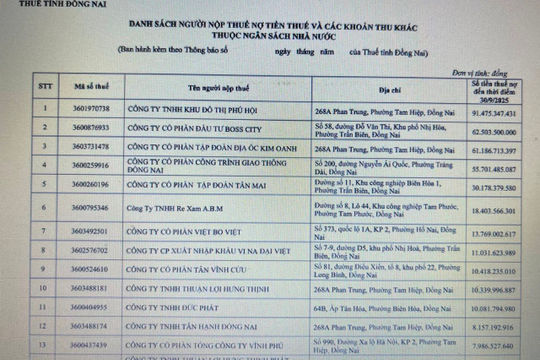 Đồng Nai công khai danh sách doanh nghiệp nợ thuế Đồng Nai công khai danh sách doanh nghiệp nợ thuế