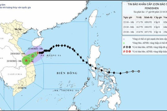 Tập trung phòng, tránh, ứng phó mưa lũ, ngập lụt tại Trung Trung Bộ