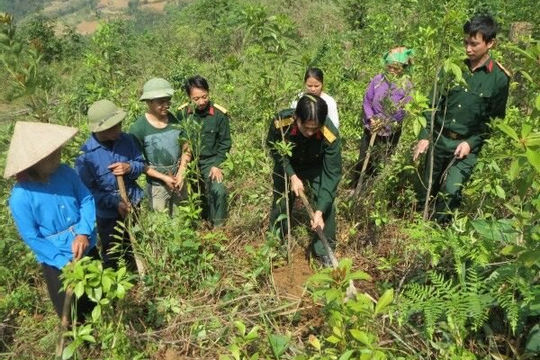 Cao Bằng phát triển kinh tế xanh từ rừng Cao Bằng phát triển kinh tế xanh từ rừng