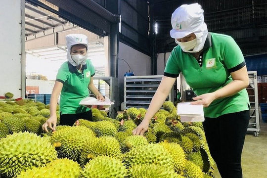 Nông sản Việt bứt phá mạnh mẽ: Hướng tới mốc 65 tỷ USD xuất khẩu Nông sản Việt bứt phá mạnh mẽ: Hướng tới mốc 65 tỷ USD xuất khẩu