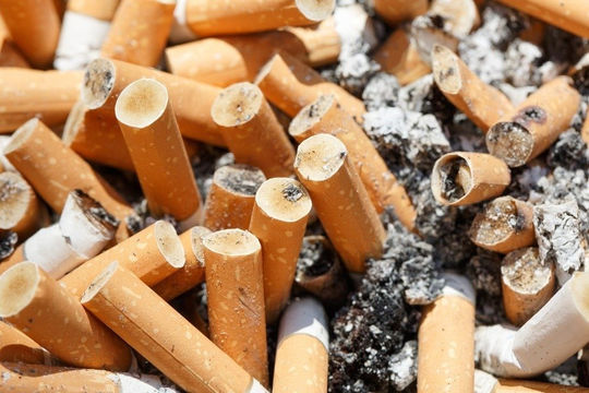 Gánh nặng môi trường từ thuốc lá Gánh nặng môi trường từ thuốc lá