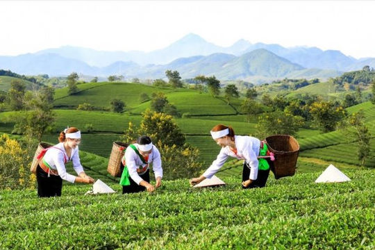 Tích hợp nguồn lực, tăng cường phân cấp thực hiện các Chương trình mục tiêu quốc gia Tích hợp nguồn lực, tăng cường phân cấp thực hiện các Chương trình mục tiêu quốc gia