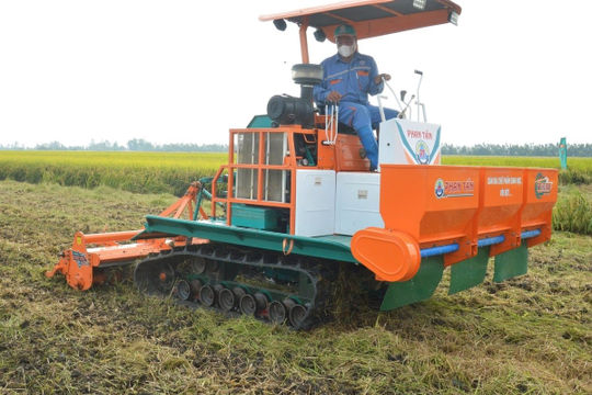 Hiểu rõ sức khỏe của đất để “bồi bổ” đúng cách Hiểu rõ sức khỏe của đất để “bồi bổ” đúng cách