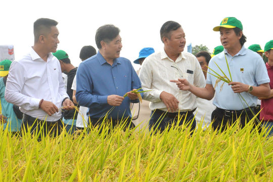 Phát huy hiệu quả nguồn vốn ODA cho phát triển nông nghiệp Phát huy hiệu quả nguồn vốn ODA cho phát triển nông nghiệp