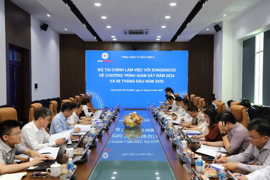 Bộ Tài chính làm việc với EVNGENCO2 về công tác giám sát tài chính 2024–2025